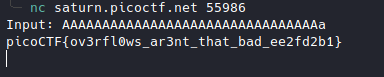 /picoctf2022-writeup/datas/bof0.png