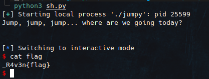 Jumpyflag /tfcctf2021-writeup/datas/flag.png